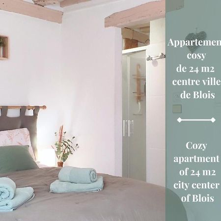 Blois City - Le Petit Saint Jean Esterno foto