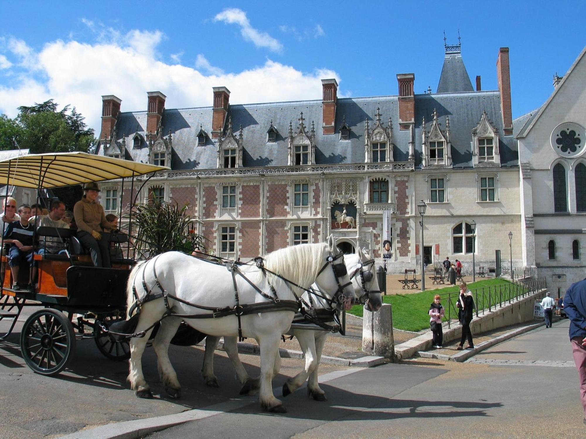 Blois City - Le Petit Saint Jean Esterno foto