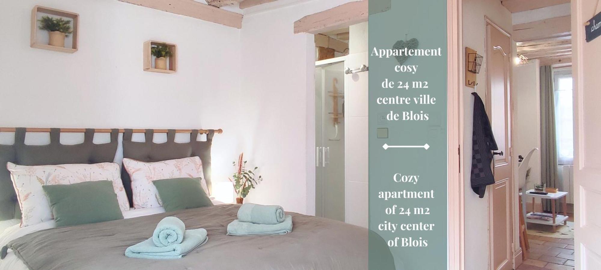 Blois City - Le Petit Saint Jean Esterno foto